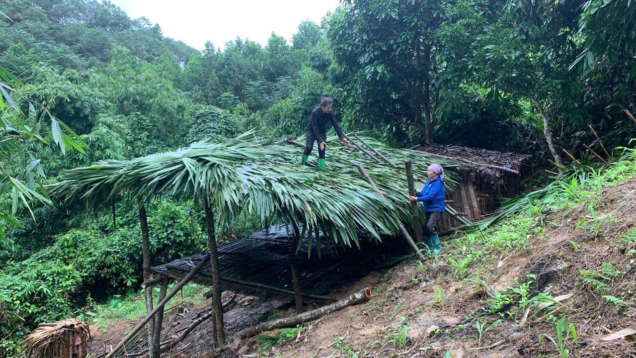 515_Day journey of two women from wandering to building a bamboo house from start to finish.