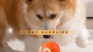 🛑 Indestructible BIONEMAGILI Military-Grade Self-Moving Toy Ball Review 🎛️