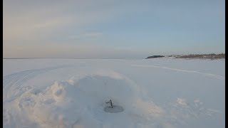 Рыбалка.Трофей на мормышку и отличный улов.. Рыбалка.Трофей на мормышку и отличный улов..
