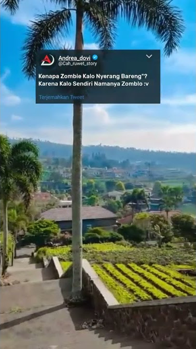 🔴 Story Wa DJ Dalamo Dalamo Viral Tik Tok║Story Wa 30 Detik Terbaru 2022