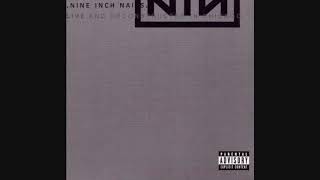 Nine Inch Nails - The Big Come Down CRC Session