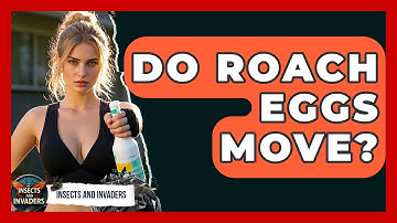 Do Roach Eggs Move? - Insects and Invaders
