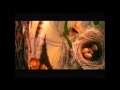 ABC TV Ident Y For Yangoora 1994 1996 ABC TV Ident Y For Yangoora 1994 1996
