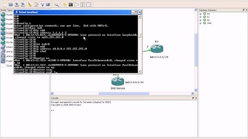 IP Services Lab 3 Domain Name System DNS