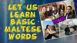 Basic Maltese words| Malta's language