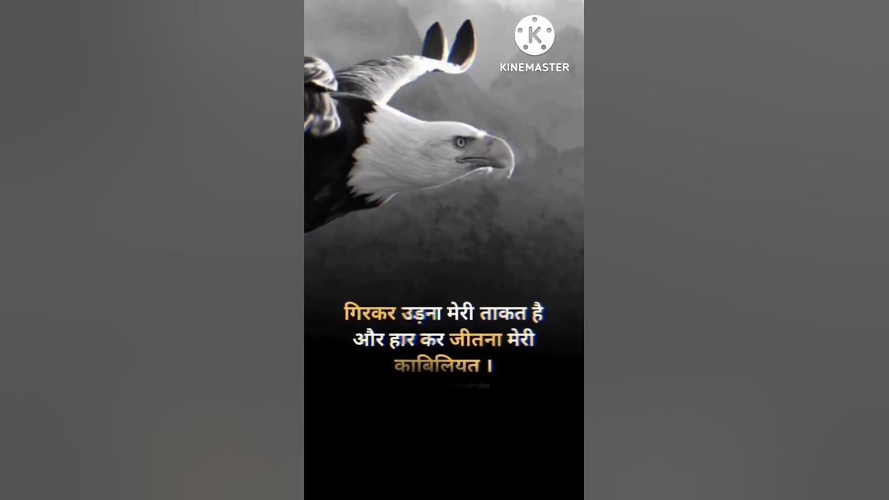 eagle attitude ringtone motivation π¦
eagle attitude ringtone motivation π¦