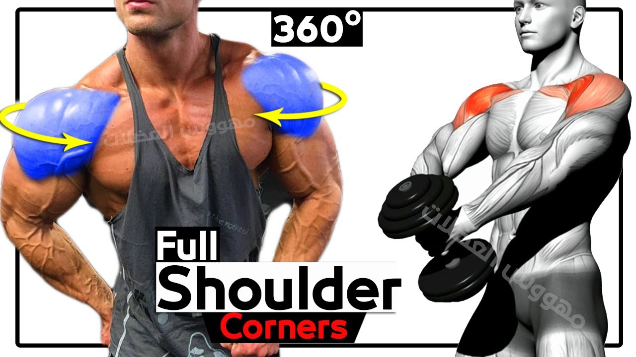 BEST 8 EXERCISES SHOULDER TO BUILD DUMBBELL