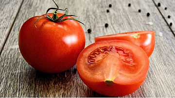 Kdo je největším spotřebitelem rajčat?