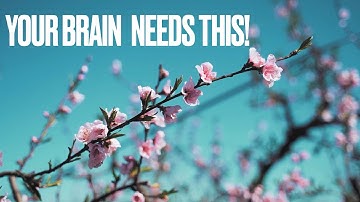 Emotional Debriefing in 5 Minutes: Reset Your Brain & Restore Mental Clarity”