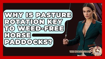 Why Is Pasture Rotation Key To Weed-free Horse Paddocks? - The Horses Stable