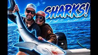 Catching SHARKS Deep SEA Fishing in the NEW Boston Whaler!