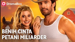 💔🔍Ganti Jadi Pengantin, Dapat Suami Miliarder! | DramaBox