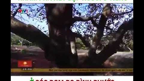 Nét đẹp người S