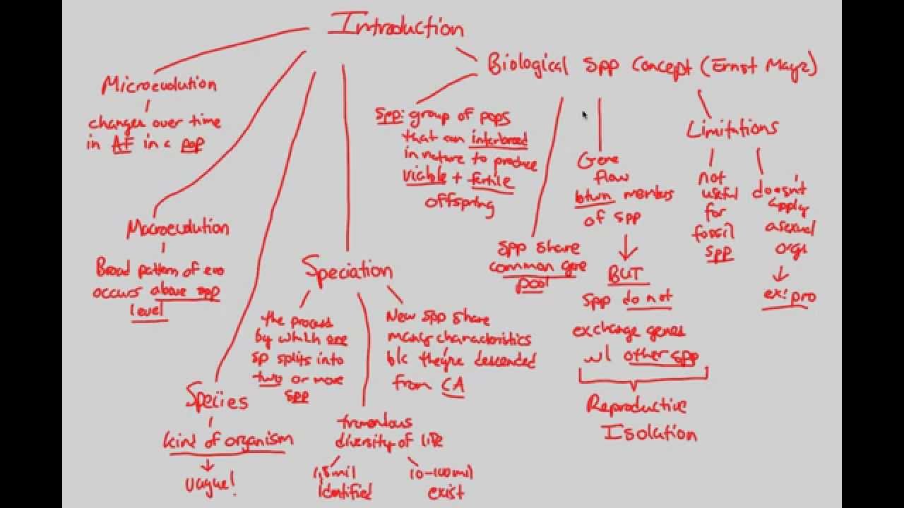 Course Introduction to Macroevolutionary Analyses - Transmitting