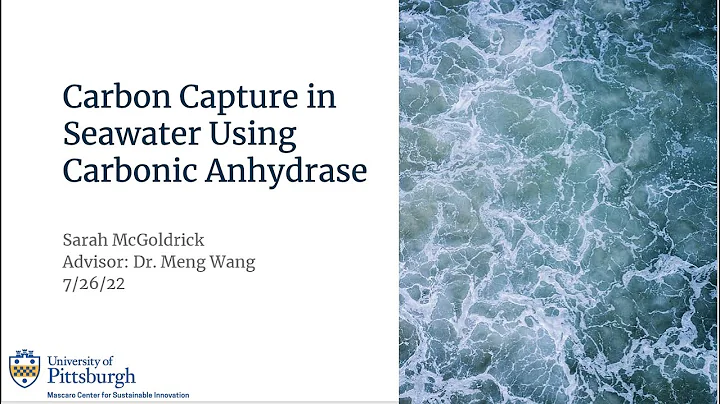 Carbon Capture in Seawater Using Carbonic Anhydras...