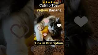 The Best Cat Toys A Yellow Banana & A Catnip Toy