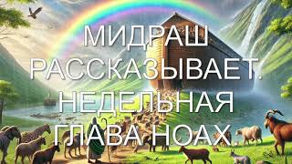 видео: Мидраш рассказывает. Недельная глава Ноах. картинка: Мидраш рассказывает. Недельная глава Ноах.