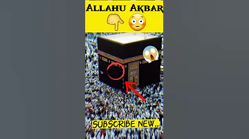 الله أكبر Miracle Of Allah Youtubeshorts Viralvideo Viralshort Shortfeed Allah Viral Islam 