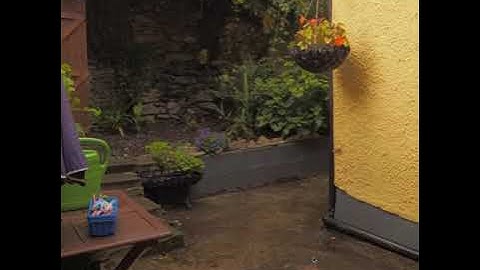 Real World Lightfield Capture Test (Small Camera Number)