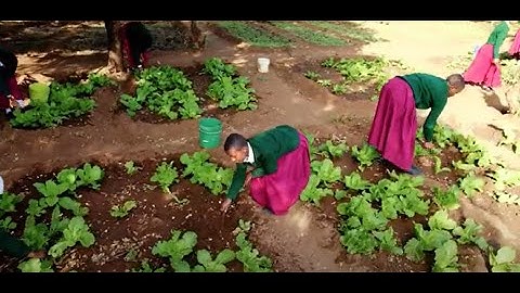 Adaptation Fund: 17 Years of Pioneering Adaptation Action