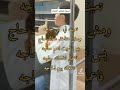 اسمع السعادة مش بلي معاك