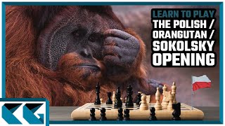 Chess Openings: Learn to Play the Polish Opening / Orangutan Opening / Sokolsky Opening!