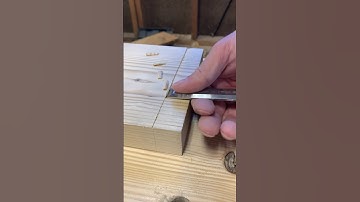 Cutting a tenon // HAND TOOLS ONLY #handtools #woodworking #diy #shopsounds