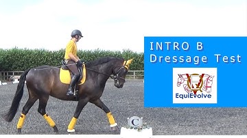 Intro 2 Dressage Test Learning Tool (2009 Intro B)