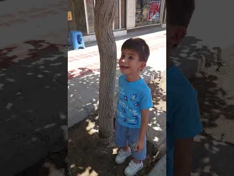 دیشب درایران چه گذشت باغ شخصی پسرم فقط بایک درخت اگ فرزندشما هم همینکارا میکنه برام داخل کامت بزار