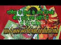 Summer season popular flowers list in vijaya s creative garden  hindi  urdu