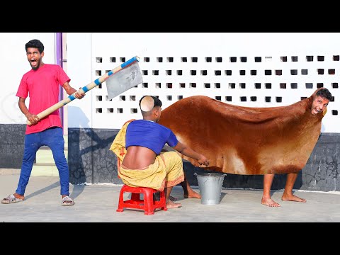 New Funniest Comedy