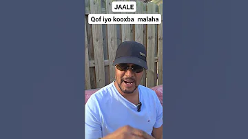 Kalmadda Jaale Waa Af Somali Qof Iyo Kooxina May Samayn Ama Allifin Waligeed Bay Jirtay 