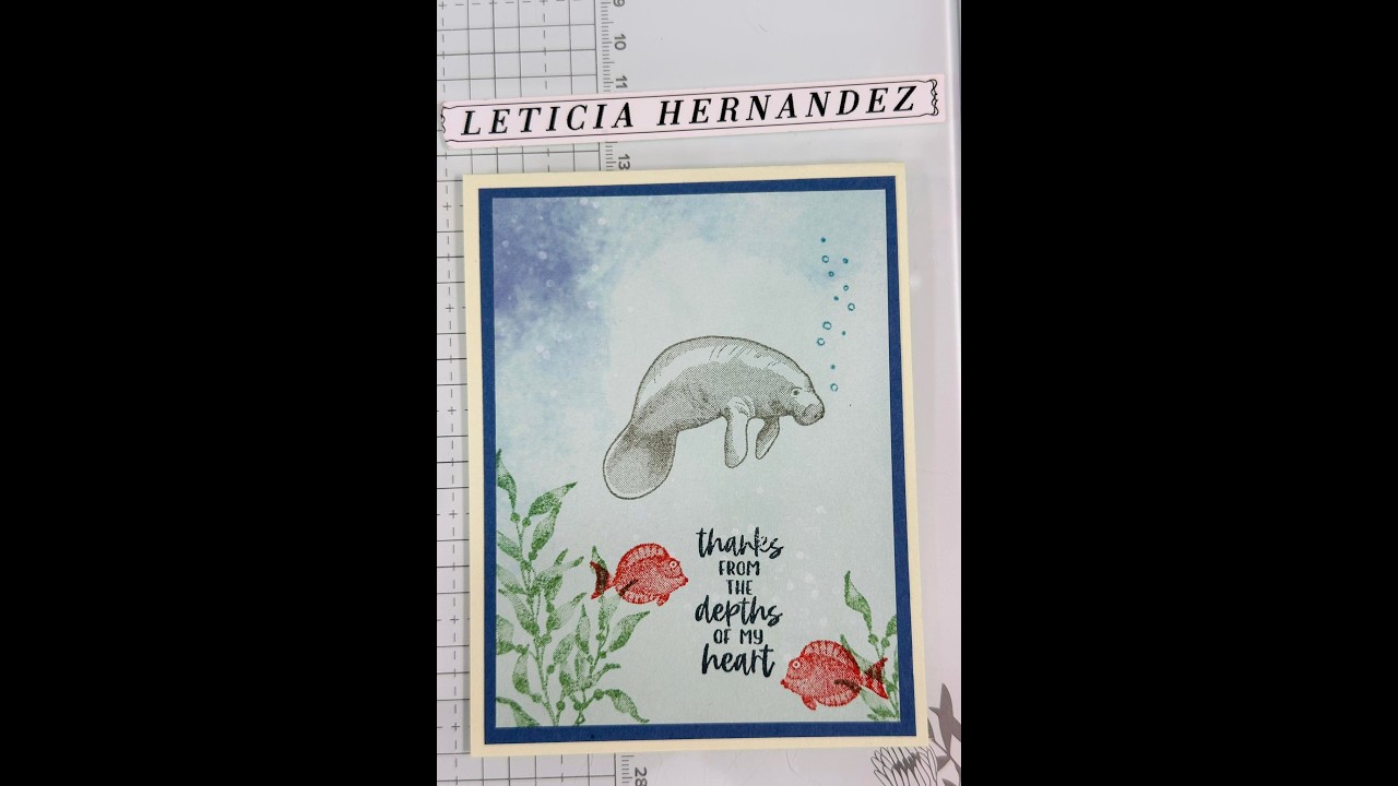 DIY Diva 2-24-26 Brown Box Goodies Part 2 The Card