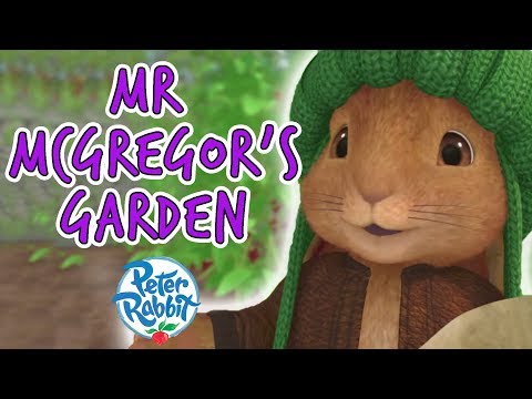 Peter Rabbit - Mr. McGregor's Garden Compilation | 40 minutes | Adventures with Peter Rabbit