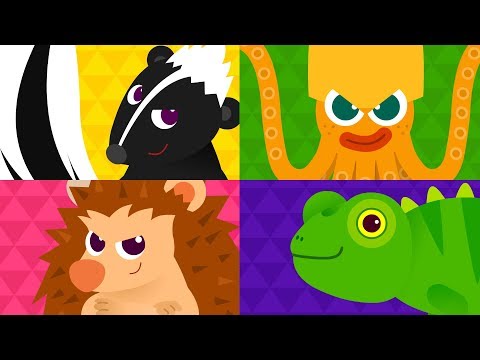 Stinky Skunk Fart ♪ | Sing Along with Animals | Animal Songs | Tidi Songs for Children ★TidiKids