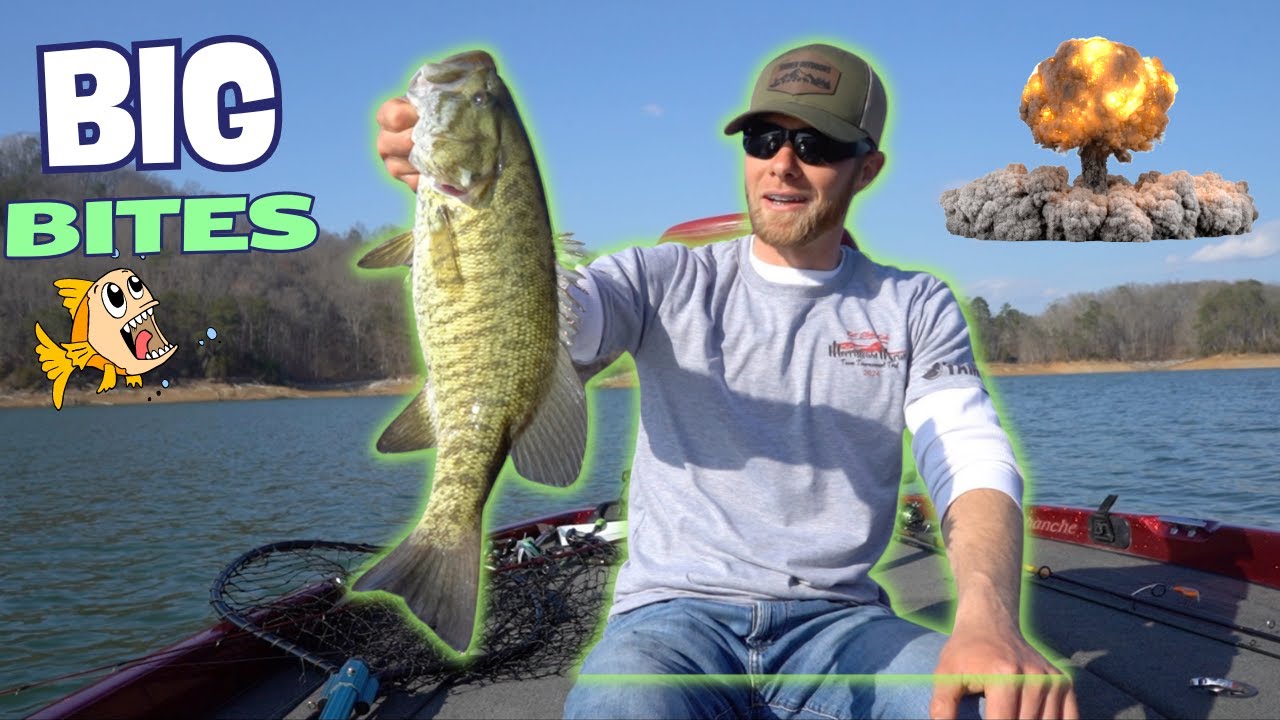 Bass fishing Norris Lake March 14, 2024.