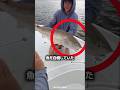 魚の好み 🤯