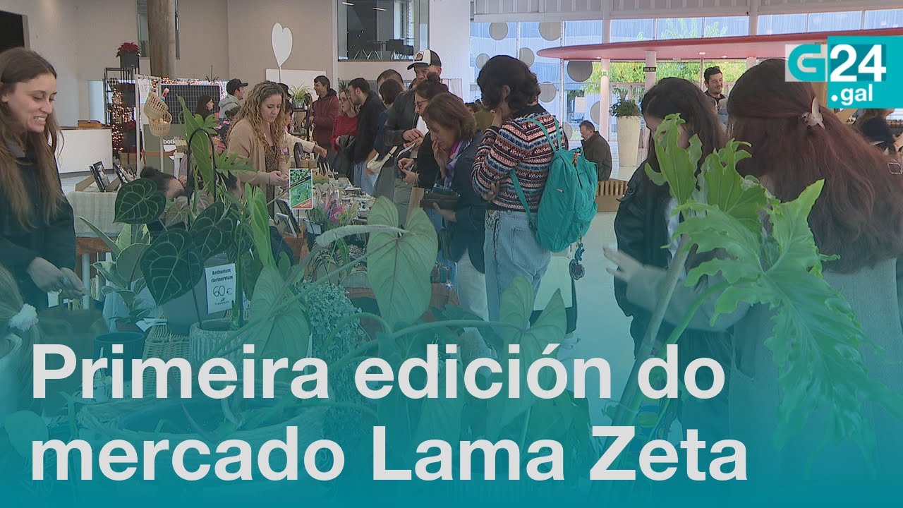 Plantas e cerámica artesanal no mercado sostible Lama Zeta