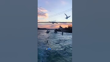 وانا اخترتك فاستمع لما يوحى تلاوة القارئ شريف مصطفى