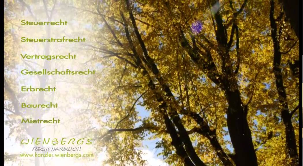 Rechtsanwalt Peter Wienberg (Anwaltskanzlei WIENBERG) rechtsanwaltskammer