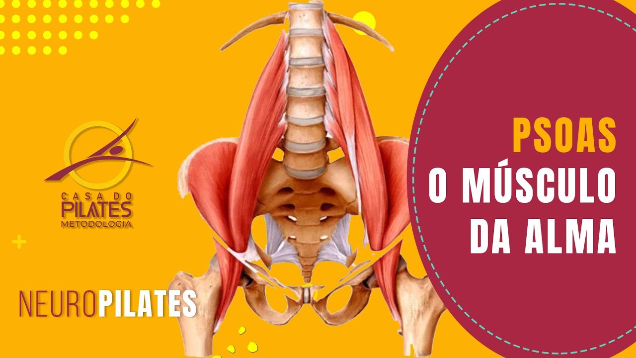 PSOAS - O músculo da alma