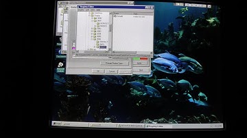 Windows 95 Booting to a Networked Installation from a Floppy Disk