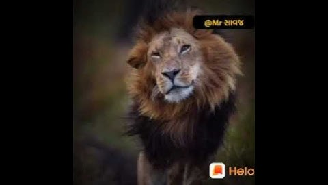 Devayat Khavad Attitude Status