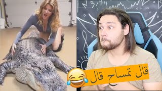 حيوانات تخرفنت على البنات😳😂😂 !! اضحك وانسى همومك 😉