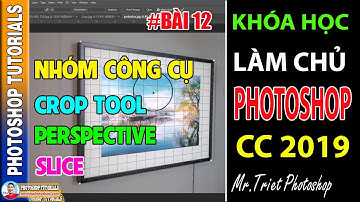 Bài 12: Nhóm Công Cụ Crop - Perspective - Slice 🔴 Làm Chủ Photoshop CC 2019