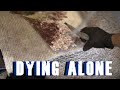 S2 Episode 9: Dying Alone