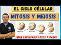 El ciclo celular mitosis y meiosis maravilloso bien explicado