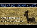 First Wildlife Photography Shoot With Fuji XF 100-400mm Lens + 1.4TC on Fuji X-T4