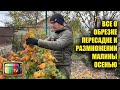 Не допускайте эти ошибки при обработке малины осенью.