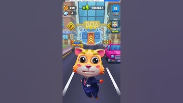 CAT RUNNER DECORATE HOME PART 8